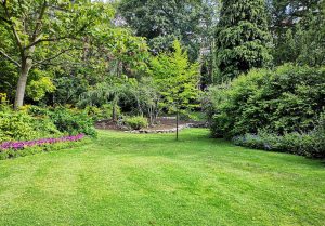 Optimiser l'expérience du jardin à Andert-et-Condon